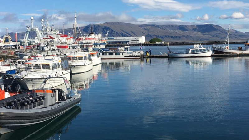 Harbour
